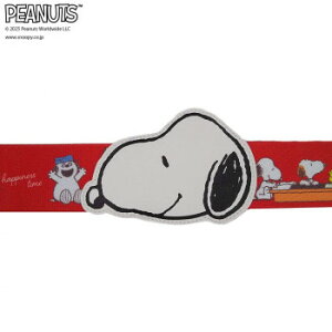PEANUTS Xk[s[ xg OT傤bh