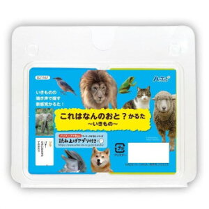 A[ebN ͂Ȃ̉?邽  21167