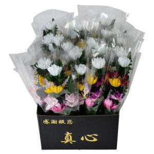 Ԑ^S 24{() 57h3000000014