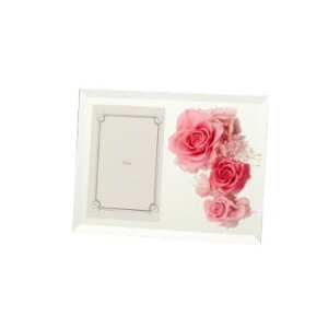 �t�����[�A�����W �t�H�g�~���[ �s���N F-2777