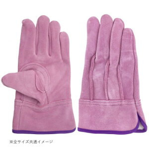 쏤 G[X nq v IC OD  sN pMTCY AG2551