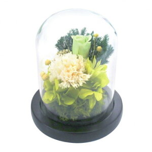 p()@KXh[AWg@vU[uht[@(悩)@C25000