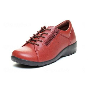 [X^[ EVE 313 bh 24.5cm EVE313 221204