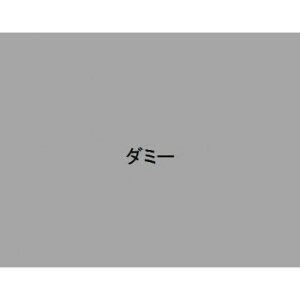 ZR[ ̑} LLƃWW Xbp 24cm lCr[u[ 64861