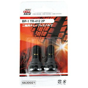 チップトップ TR-412 2P 二輪用チューブレスバルブ BP-1