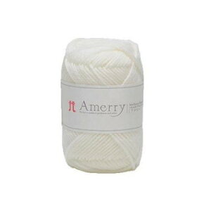 n}iJ A[ No.51 2261051