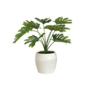 �t�B���f���h���� KM 165767