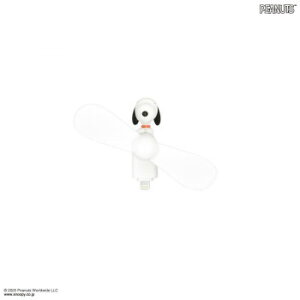 s[ibc Xk[s[ RlN^t ~jN[t@ (Lightning) Xk[s[ SNGG-145A