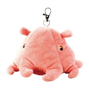 ZgNtg GRobO tbNt _R F24-0464