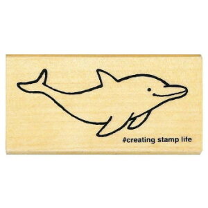 ǂ̂ NACuX^v CJ 1535-017