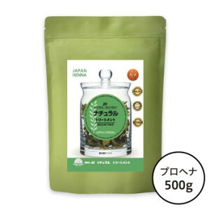 Wpwi VR100 i`g[gg 500g@A0-0001  n[u PA