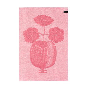 iAj Iittala ^CJ eB[^I47x70cm Tg sN 1070697