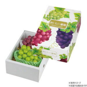 }jpbP[W fVX2K 50 L-2277