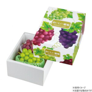 }jpbP[W fVX 30 L-2279