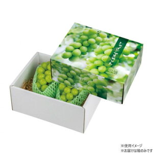 }jpbP[W VC}XJbg  30 L-2418