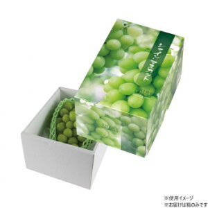 }jpbP[W VC}XJbg1[  50 L-2433