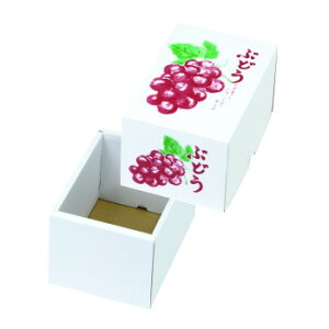 }jpbP[W Ă̂Ԃǂ 1[ 50 L-2535