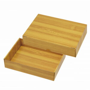 }jpbP[W ؖڃMtgBOX 100  NK-420