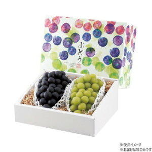 }jpbP[W ʂԂǂ2[ 50 L-2368