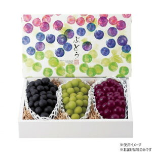 }jpbP[W ʂԂǂ3[ 40 L-2369