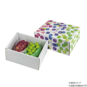 }jpbP[W ʂԂǂ g[ 40 L-2486