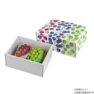 }jpbP[W ʂԂǂ g[ 30 L-2487