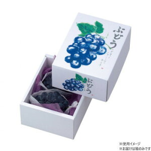 }jpbP[W Ă̂Ԃǂ 40 L-2044