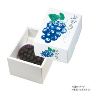 }jpbP[W Ă̂Ԃǂ  50 L-2048