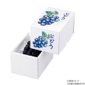 }jpbP[W Ă̂Ԃǂ 1[ 50 L-2161