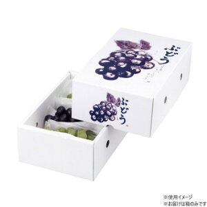 }jpbP[W Ă̂Ԃǂ2kg 50 L-2162