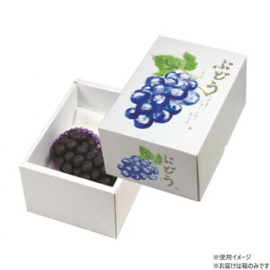 }jpbP[W Ă̂Ԃǂ150H 40 L-2388