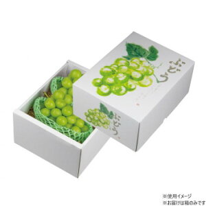 }jpbP[W Ă̂ԂǂO[ 40 L-2501