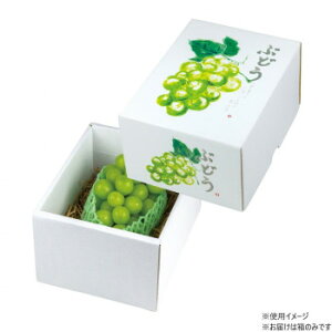 }jpbP[W Ă̂ԂǂO[  40 L-2509