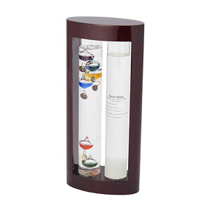 yFun SciencezxvXg[OXikCEEւ̔zsj