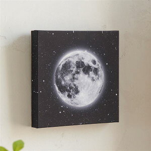 yFun SciencezLEDLoXA[g@ikCEEւ̔zsj