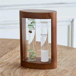 CeAACeyFun SciencezxvXg[OX O[ikCEEւ̔zsj