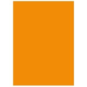 北越製紙 カラーペーパー/リサイクルコピー用紙 【A4 500枚×5冊】 日本製 オレンジ