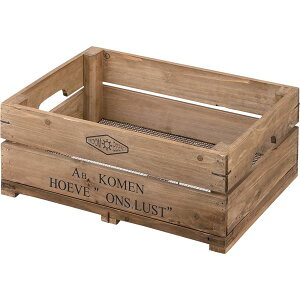 [{bNX [P[X 50×s37×20cm n[tTCY ؐ  Rei{bNX rO CeAƋ X