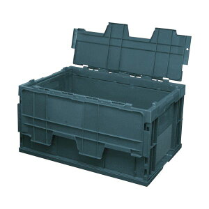 ϐeNm^ t^̌^ IR OC-75L OD 75LSFOD 1 ܂肽 Rei [ e