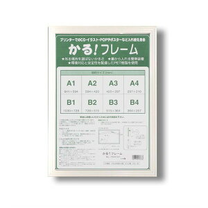 plt[ |X^[z B4 F364×257mm zCg Ǌ|Ђt OʁFUVJbgPET 5008 !t[ z