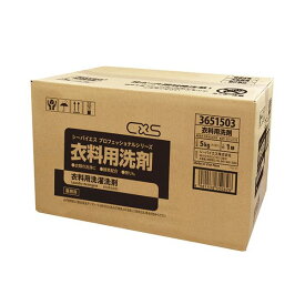 （まとめ）シーバイエス プロフェッショナルシリーズ 業務用衣料用洗剤 業務用 5kg 1個 【×3セット】