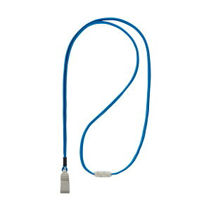 i܂Ƃ߁j CI DpXgbv u[N-11AP 1{ y×30Zbgz