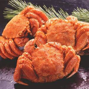 【北海道産】ボイル毛ガニ姿(約500g×3尾)【代引不可】
