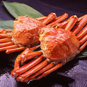 yg蔲QAiIzJi_Y{CYCKjpE500g×2 ⓀYCIysz