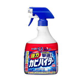 （まとめ）花王 強力カビハイター 特大 本体1000ml 1個【×10セット】