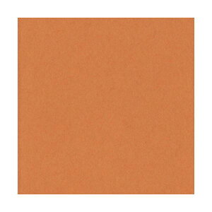 ebN j[J[R l ǂ 4NCR-210 1pbN(100)