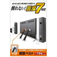 エレコム TV用耐震ベルト/〜75V用/強力粘着シールタイプ/2本入(TS-002N2)

