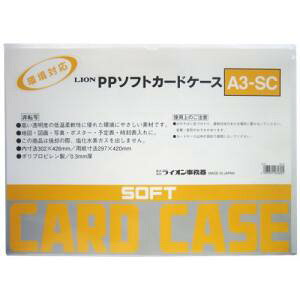 CI CI PP\tgJ[hP[X A3