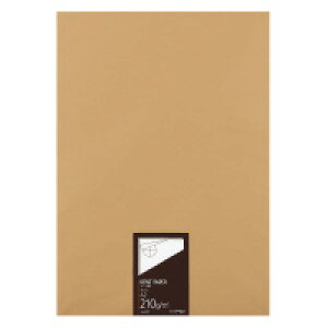 RN Pg A2 210g 100 (Z-KP27)