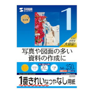 SANWASUPPLY TTvC CNWFbgpX[p[t@CpA4TCY250@JP-EM5NA4-250